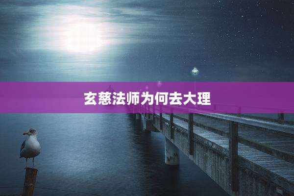 玄慈法师为何去大理
