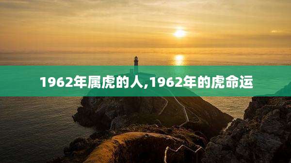 1962年属虎的人,1962年的虎命运