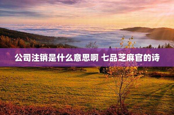 公司注销是什么意思啊 七品芝麻官的诗
