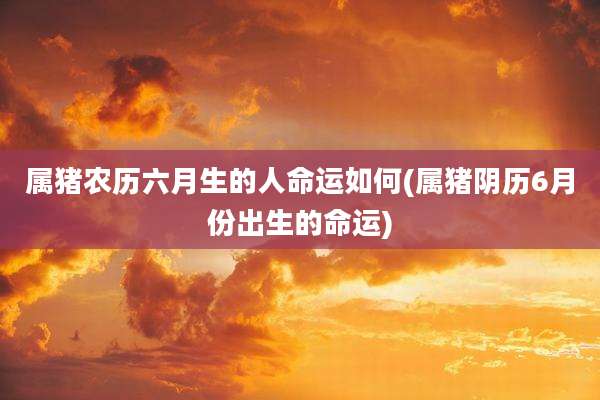 属猪农历六月生的人命运如何(属猪阴历6月份出生的命运)