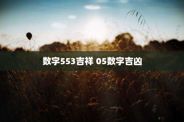 数字553吉祥 05数字吉凶