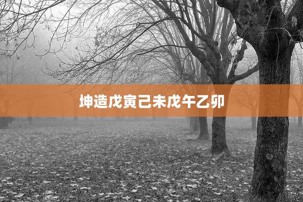坤造戊寅己未戊午乙卯