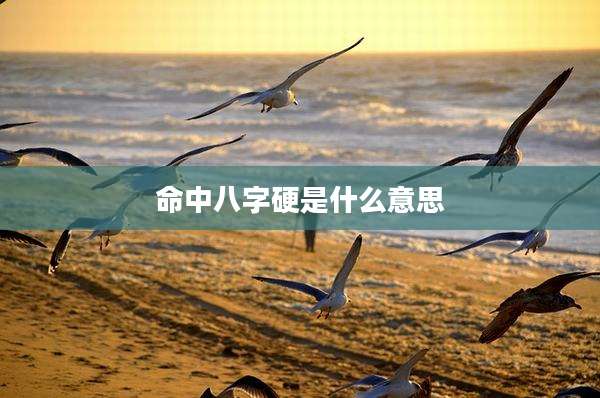 命中八字硬是什么意思