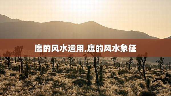 鹰的风水运用,鹰的风水象征