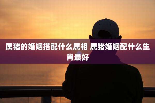 属猪的婚姻搭配什么属相 属猪婚姻配什么生肖最好