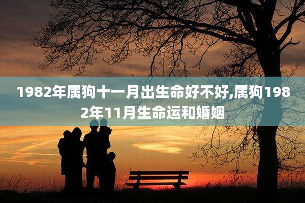 1982年属狗十一月出生命好不好,属狗1982年11月生命运和婚姻