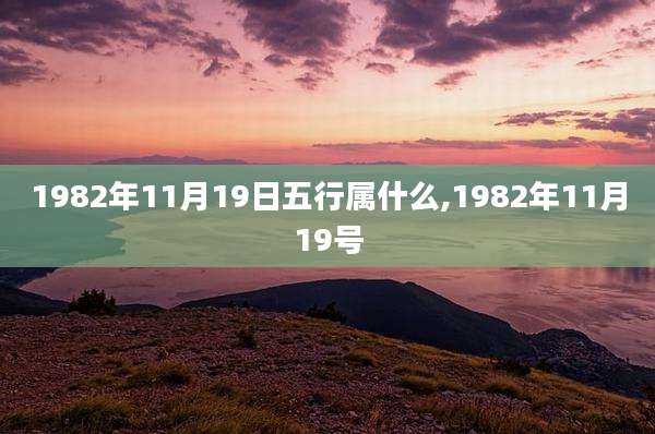 1982年11月19日五行属什么,1982年11月19号