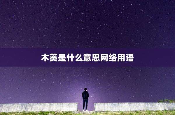 木葵是什么意思网络用语