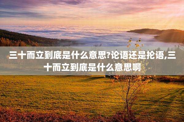 三十而立到底是什么意思?论语还是抡语,三十而立到底是什么意思啊