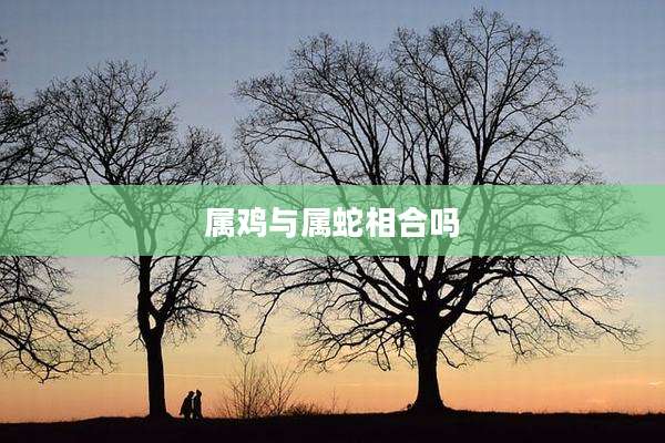 属鸡与属蛇相合吗