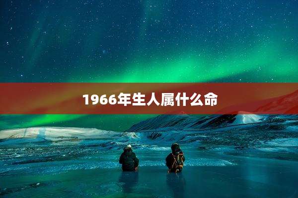 1966年生人属什么命