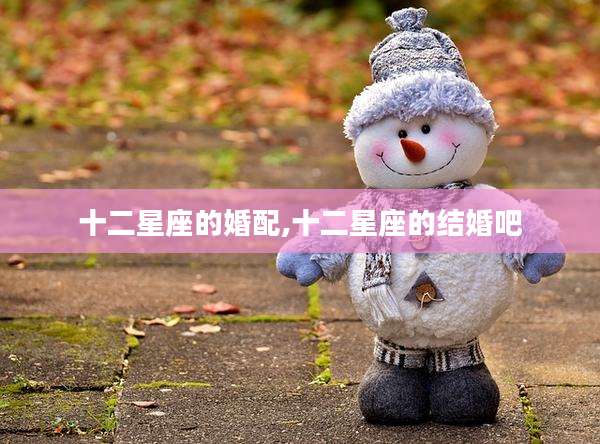 十二星座的婚配,十二星座的结婚吧