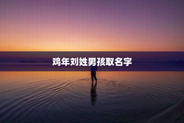鸡年刘姓男孩取名字