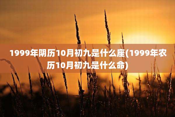 1999年阴历10月初九是什么座(1999年农历10月初九是什么命)
