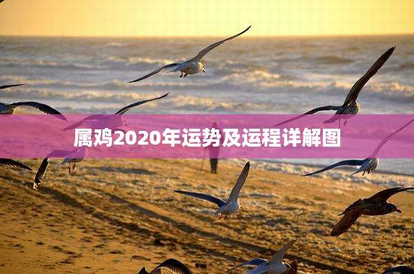 属鸡2020年运势及运程详解图