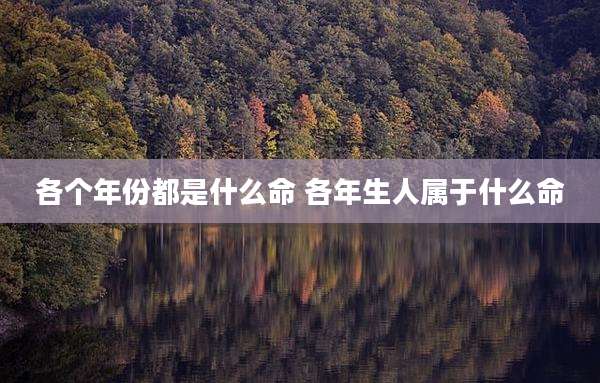 各个年份都是什么命 各年生人属于什么命