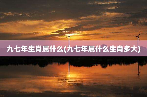 九七年生肖属什么(九七年属什么生肖多大)