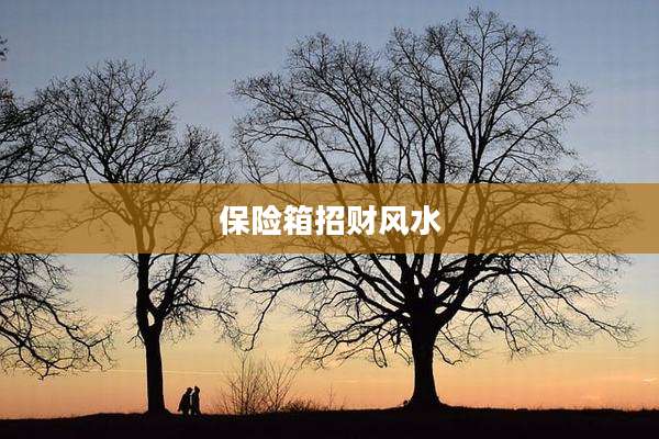 保险箱招财风水