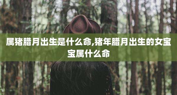 属猪腊月出生是什么命,猪年腊月出生的女宝宝属什么命