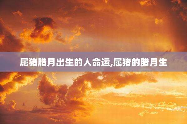 属猪腊月出生的人命运,属猪的腊月生