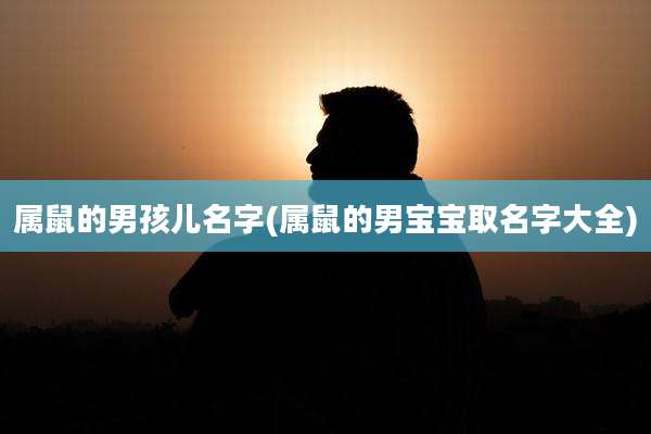 属鼠的男孩儿名字(属鼠的男宝宝取名字大全)
