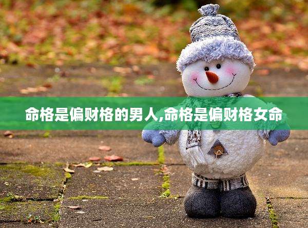 命格是偏财格的男人,命格是偏财格女命