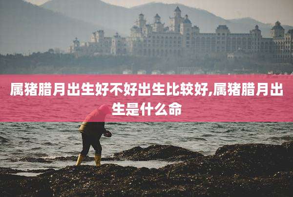 属猪腊月出生好不好出生比较好,属猪腊月出生是什么命