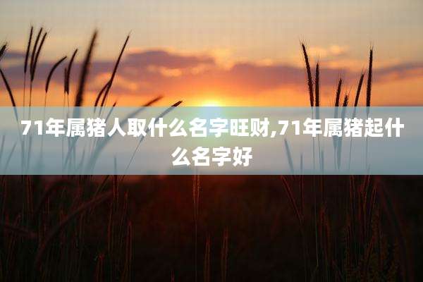 71年属猪人取什么名字旺财,71年属猪起什么名字好
