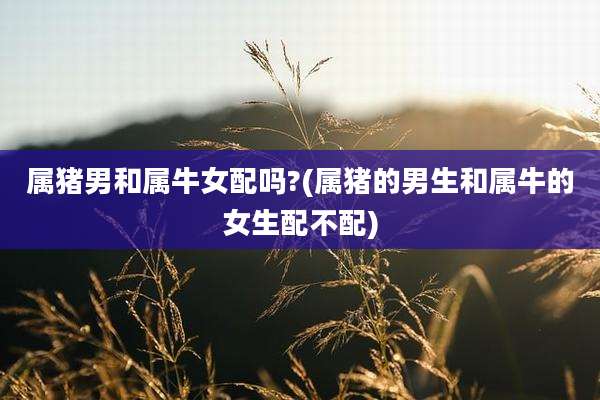 属猪男和属牛女配吗?(属猪的男生和属牛的女生配不配)