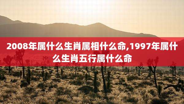 2008年属什么生肖属相什么命,1997年属什么生肖五行属什么命
