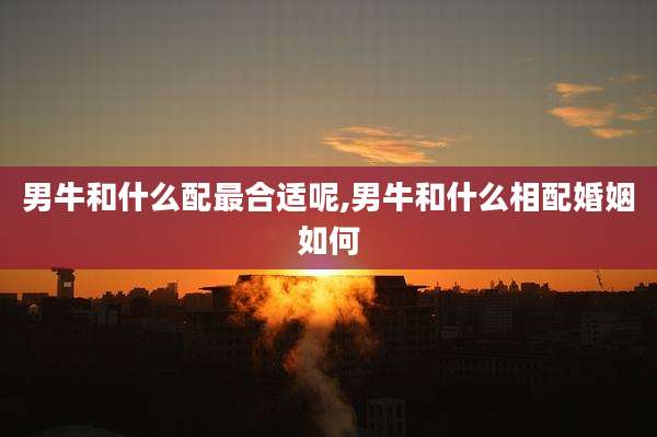 男牛和什么配最合适呢,男牛和什么相配婚姻如何