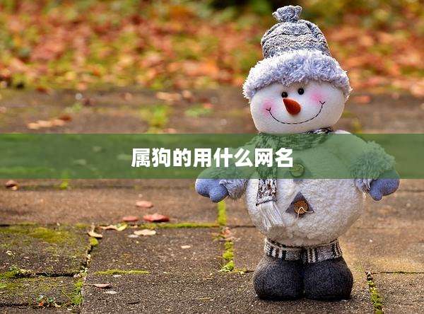 属狗的用什么网名