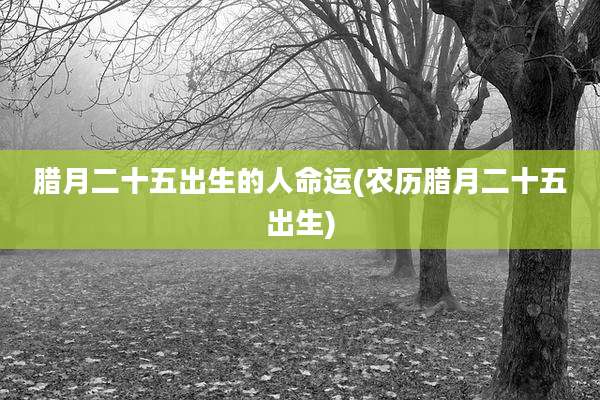腊月二十五出生的人命运(农历腊月二十五出生)