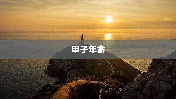 甲子年命