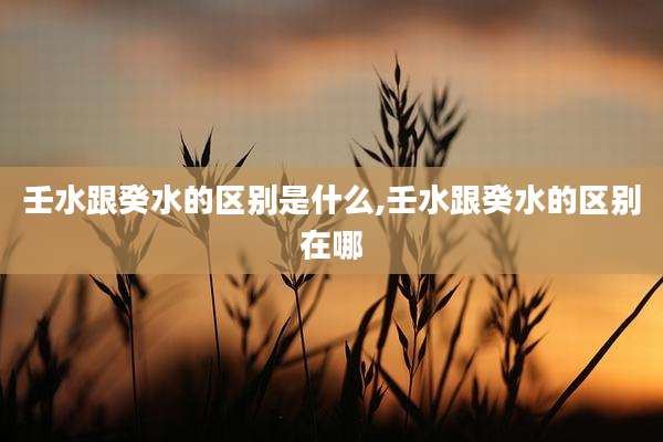 壬水跟癸水的区别是什么,壬水跟癸水的区别在哪