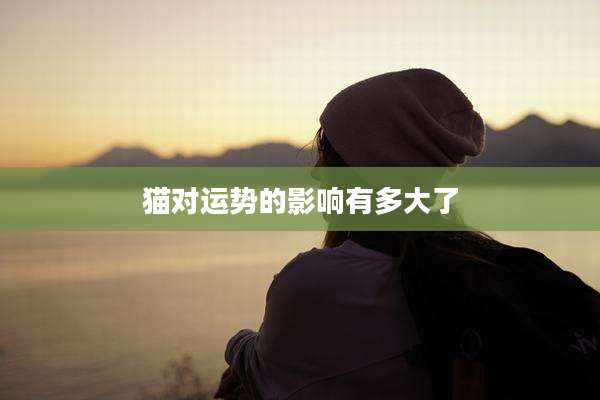 猫对运势的影响有多大了