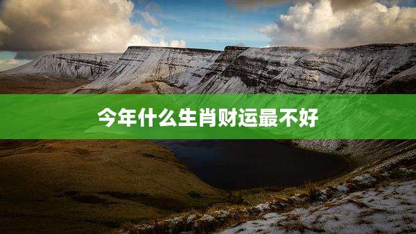 今年什么生肖财运最不好