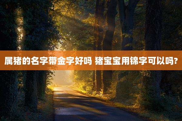 属猪的名字带金字好吗 猪宝宝用锦字可以吗?