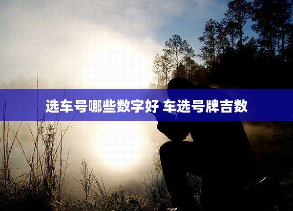 选车号哪些数字好 车选号牌吉数