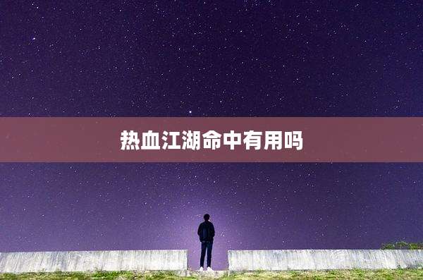 热血江湖命中有用吗