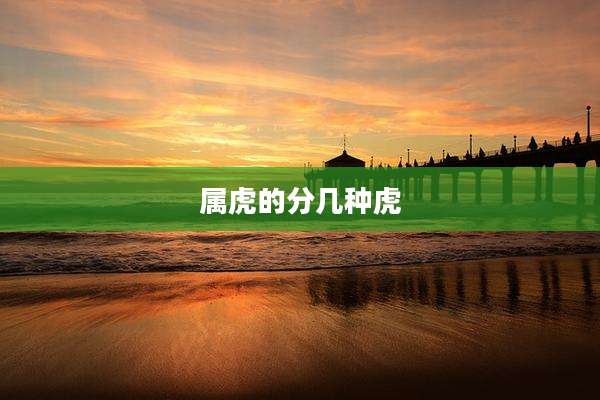 属虎的分几种虎
