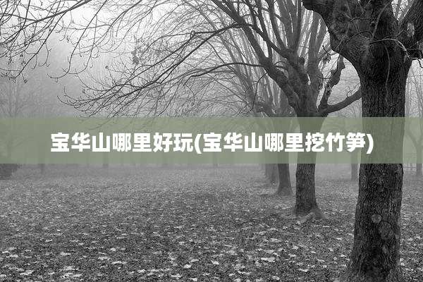 宝华山哪里好玩(宝华山哪里挖竹笋)