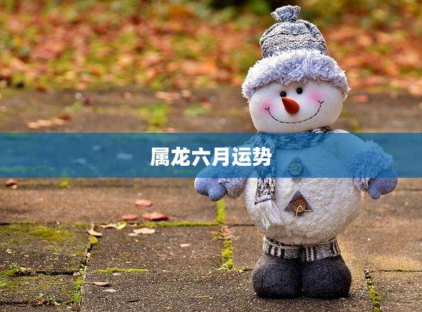 属龙六月运势