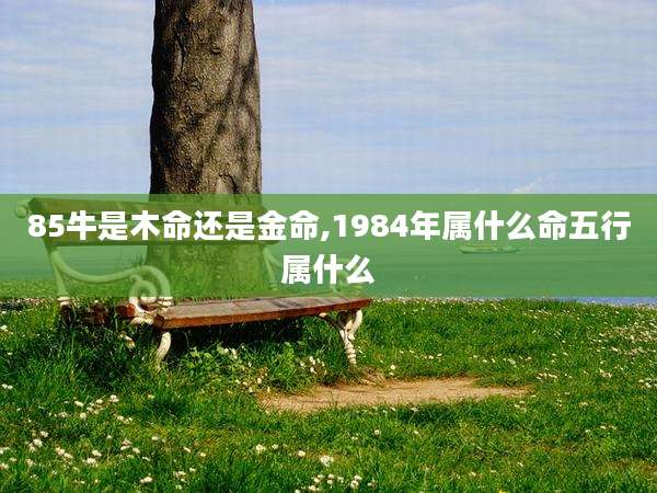 85牛是木命还是金命,1984年属什么命五行属什么