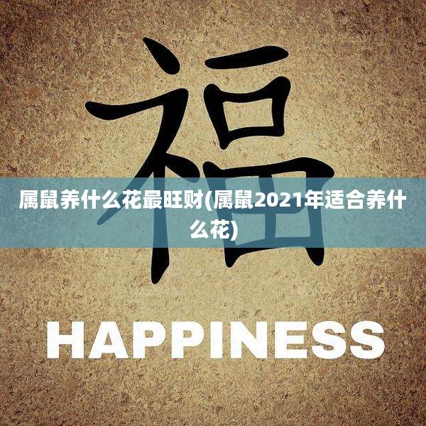 属鼠养什么花最旺财(属鼠2021年适合养什么花)