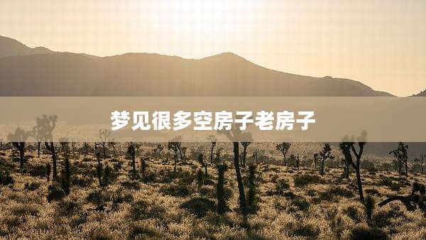 梦见很多空房子老房子
