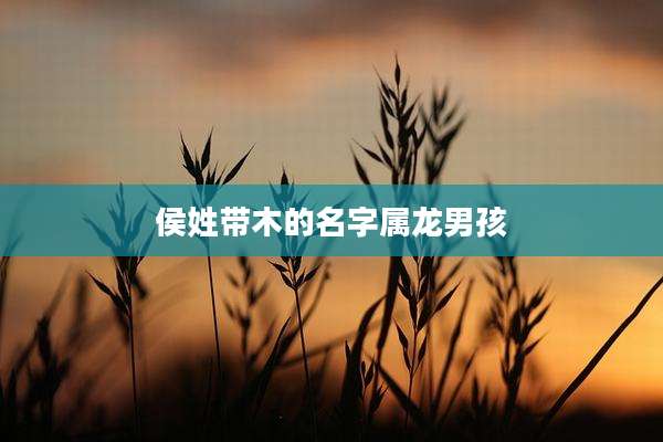 侯姓带木的名字属龙男孩