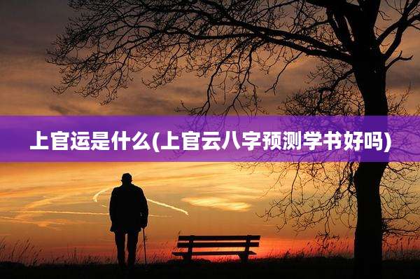 上官运是什么(上官云八字预测学书好吗)