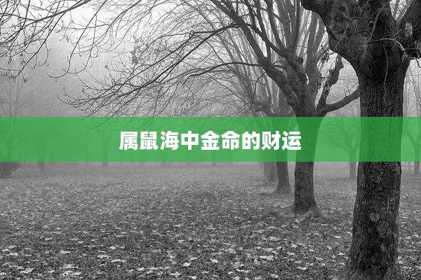 属鼠海中金命的财运