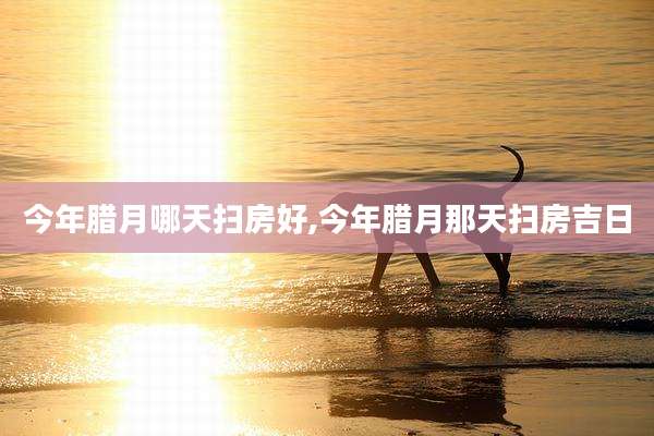 今年腊月哪天扫房好,今年腊月那天扫房吉日